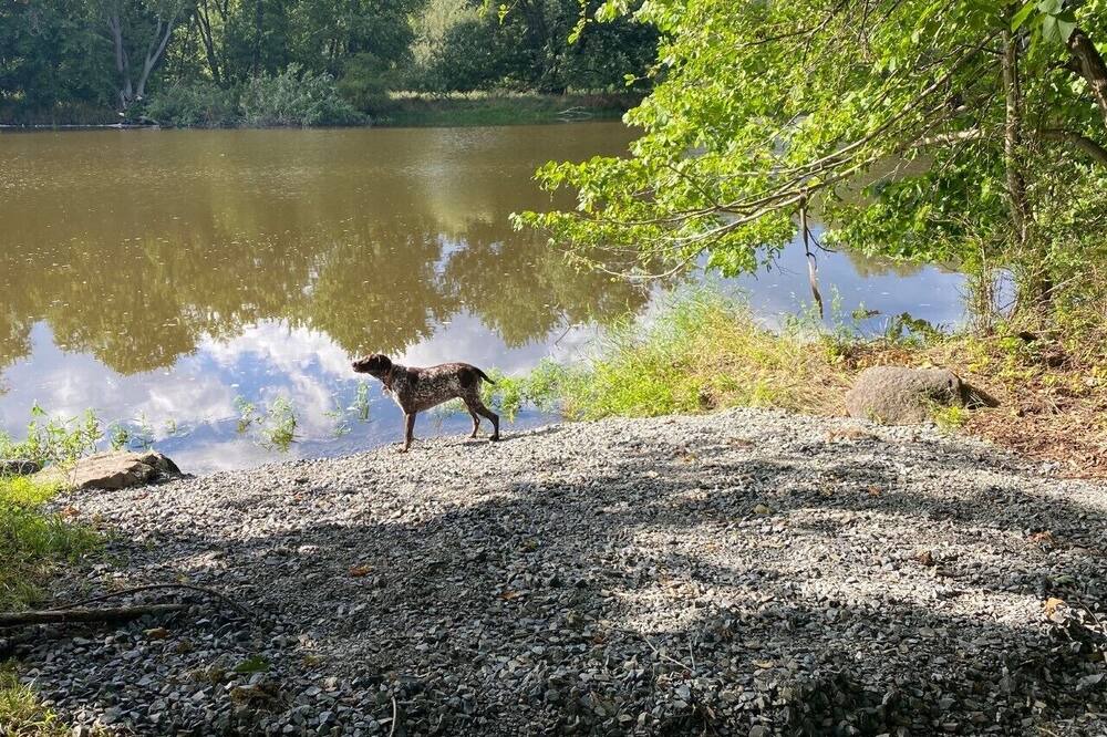 Photo of Others in Walden