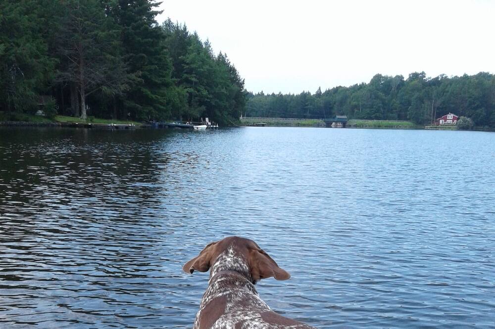 Photo of Others in Walden