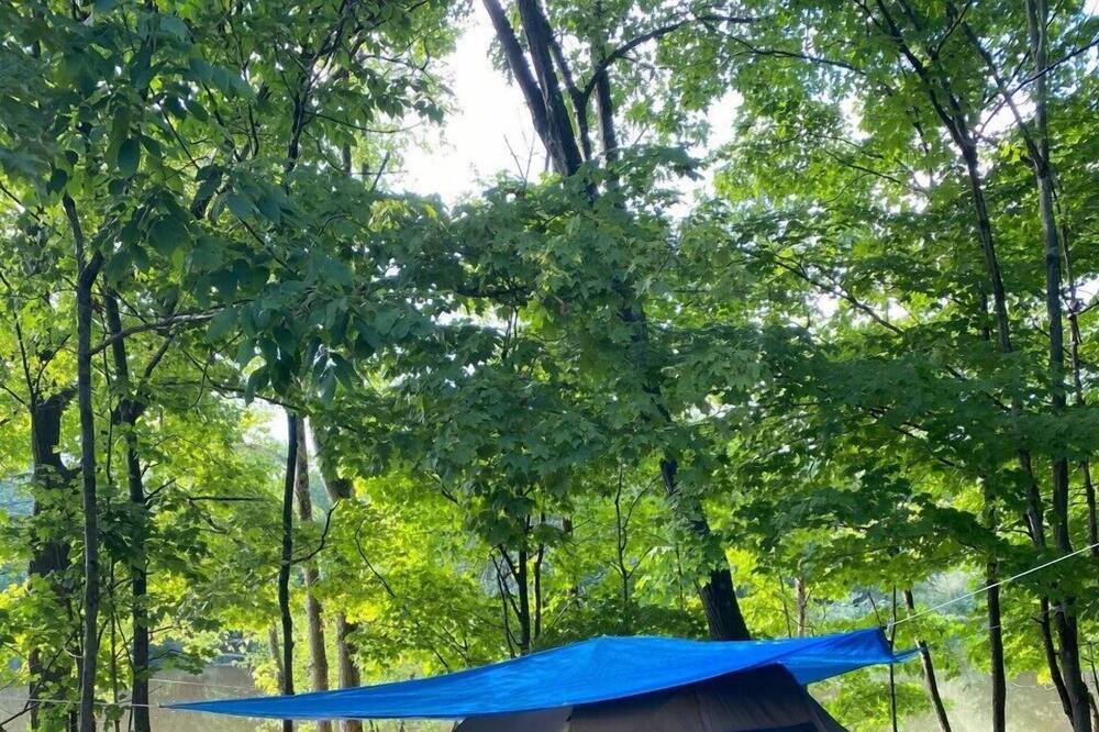 Photo of Others in Walden