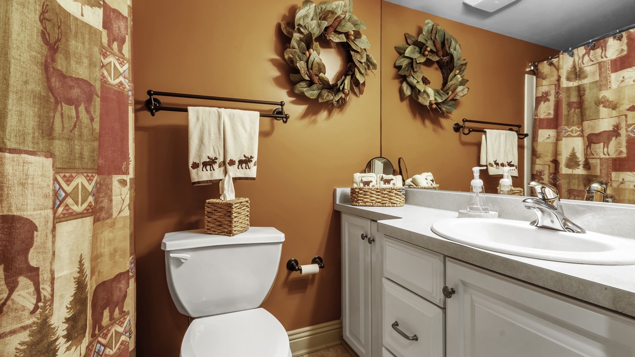 Photo of Bathroom in Ellicottville