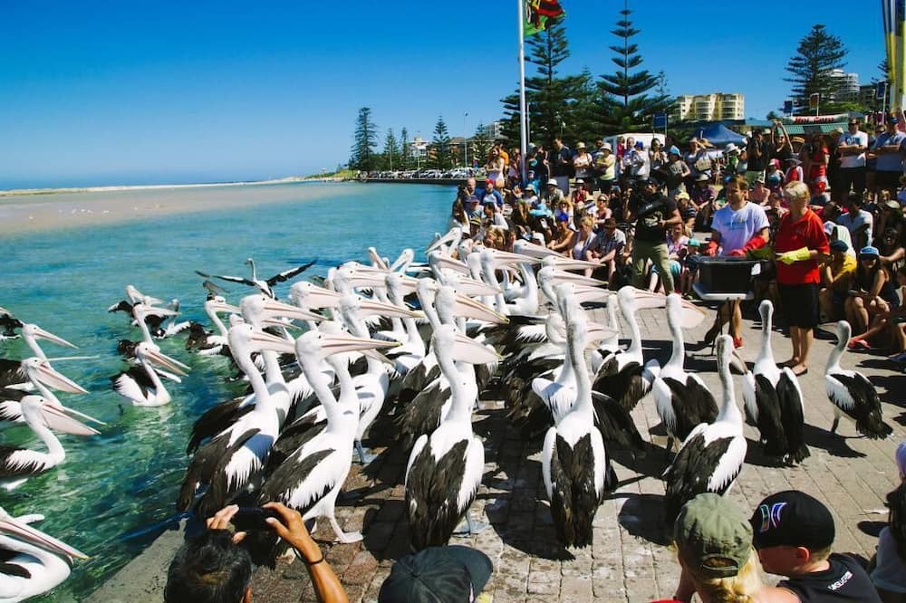 Photo of Others in Gorokan