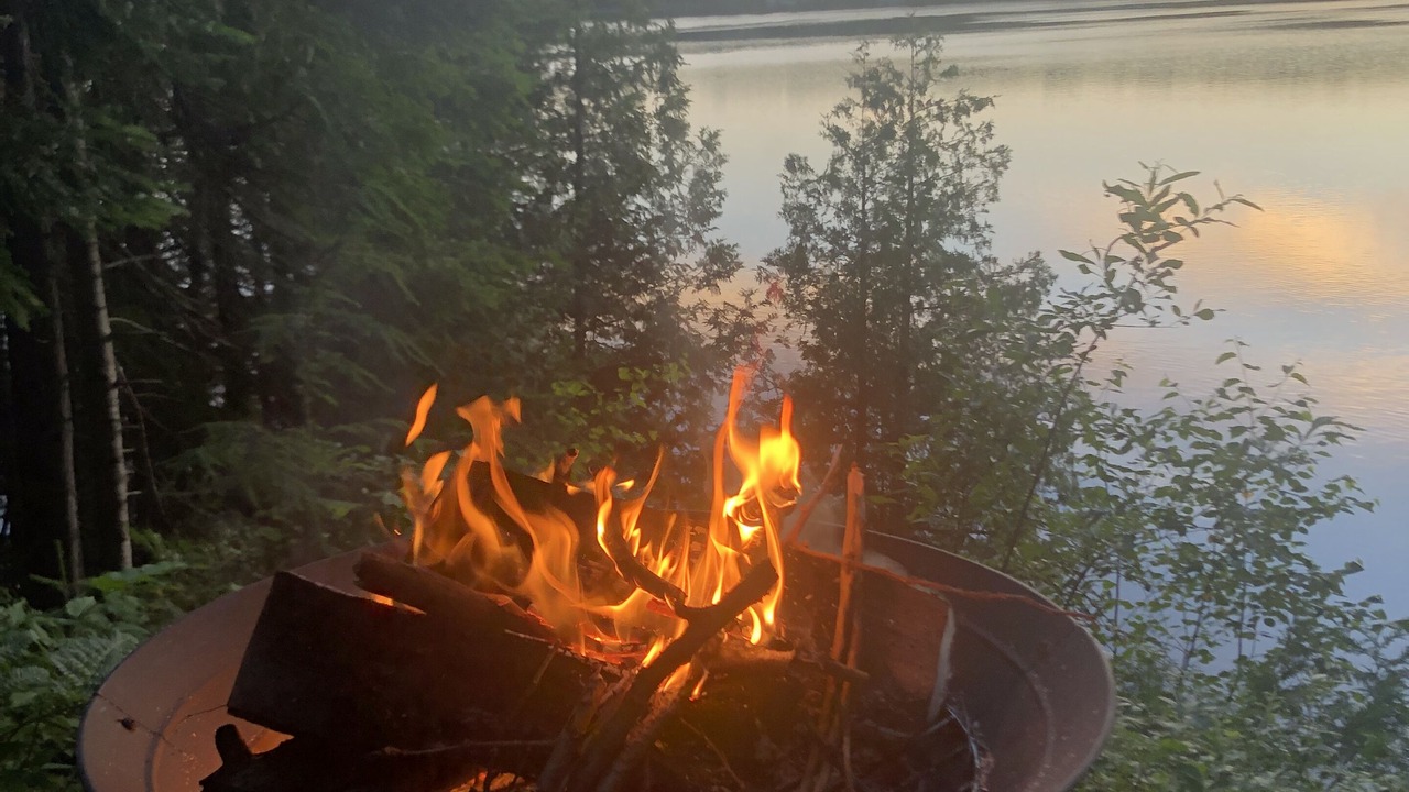 Photo of Outdoor in Harcourt