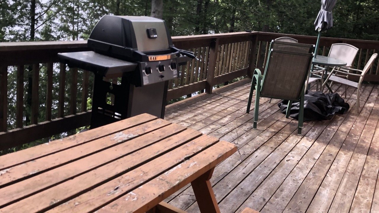 Photo of Outdoor in Harcourt