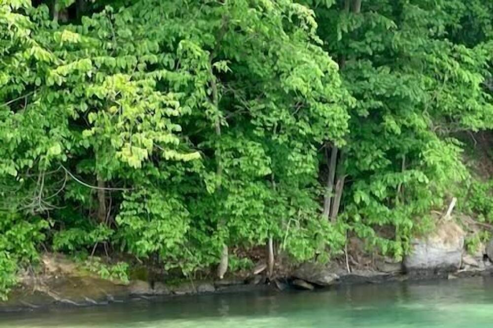 Photo of Others in Skaneateles