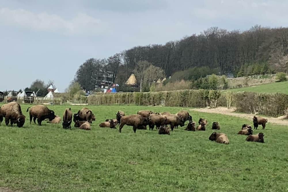 Photo of Outdoor in La Chapelle-du-Bourgay
