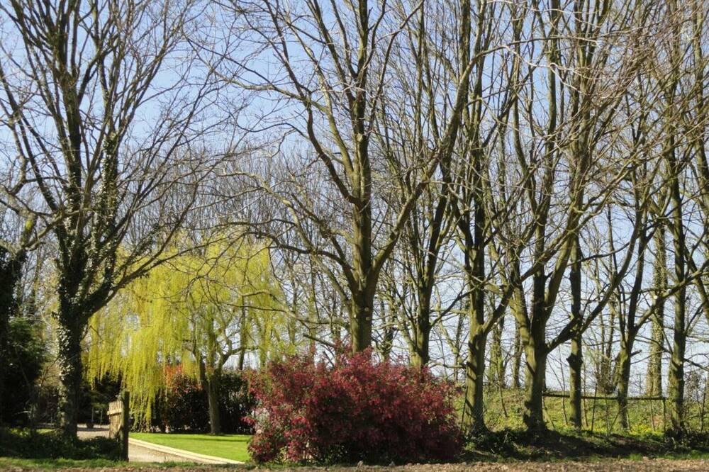 Photo of Outdoor in Saint-Sauveur-d'Emalleville