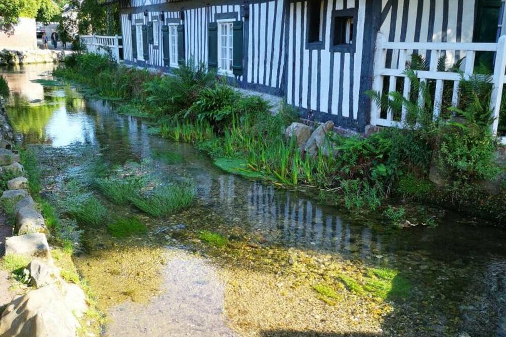 Photo of Outdoor in Vittefleur