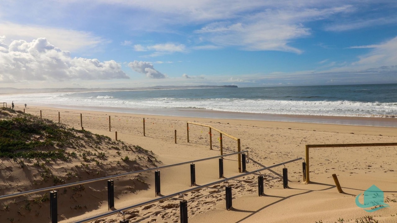 Photo of Others in Swansea