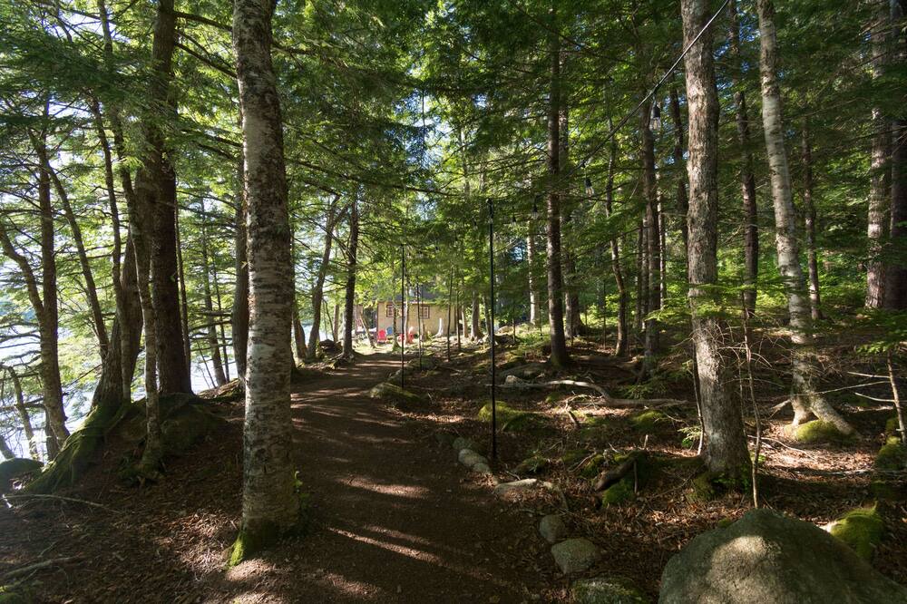 Photo of Outdoor in Lunenburg County