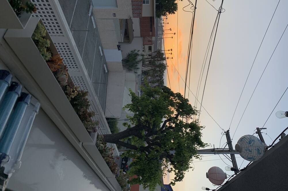 Photo of Outdoor in San Onofre