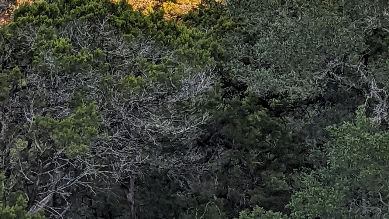 Photo of Outdoor in Spring Branch