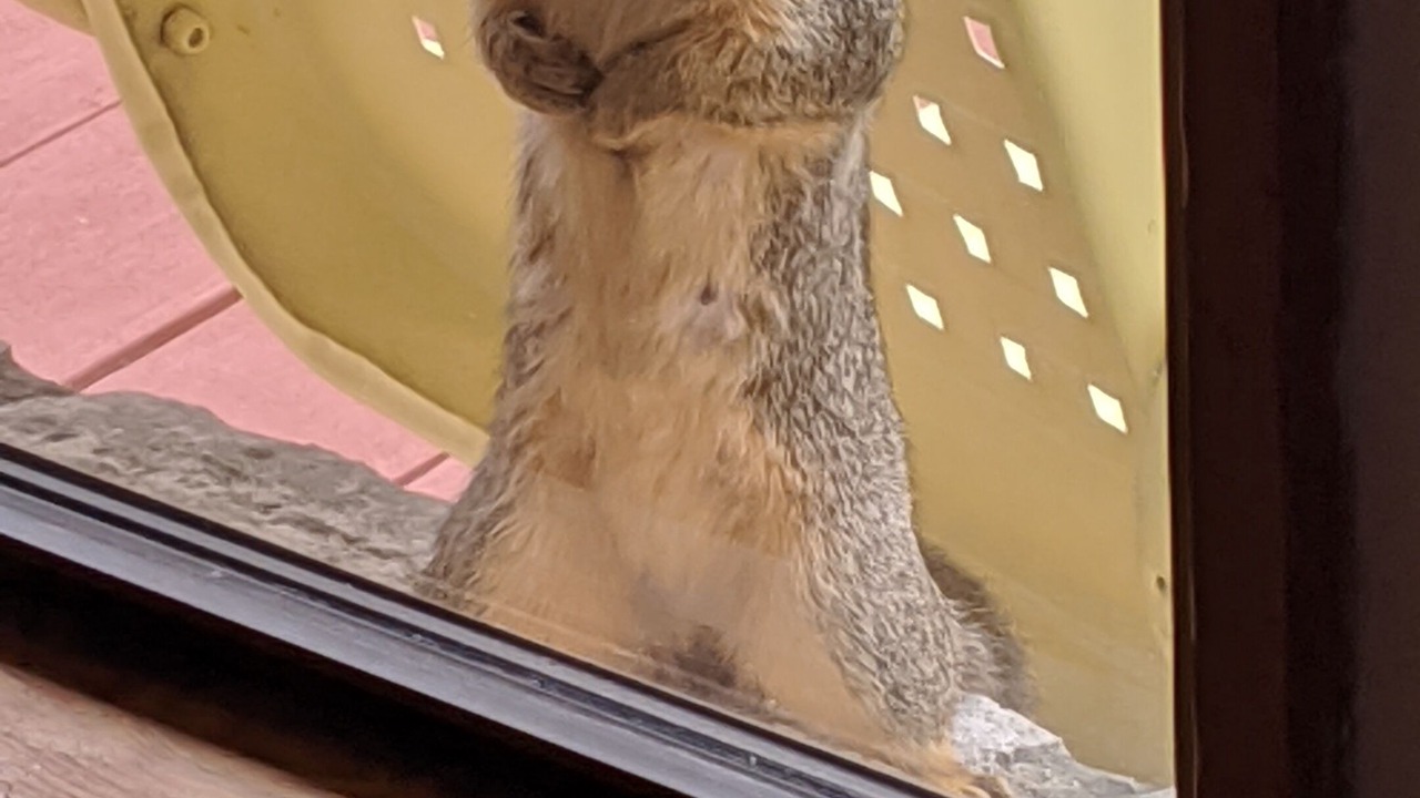 Photo of Others in Spring Branch