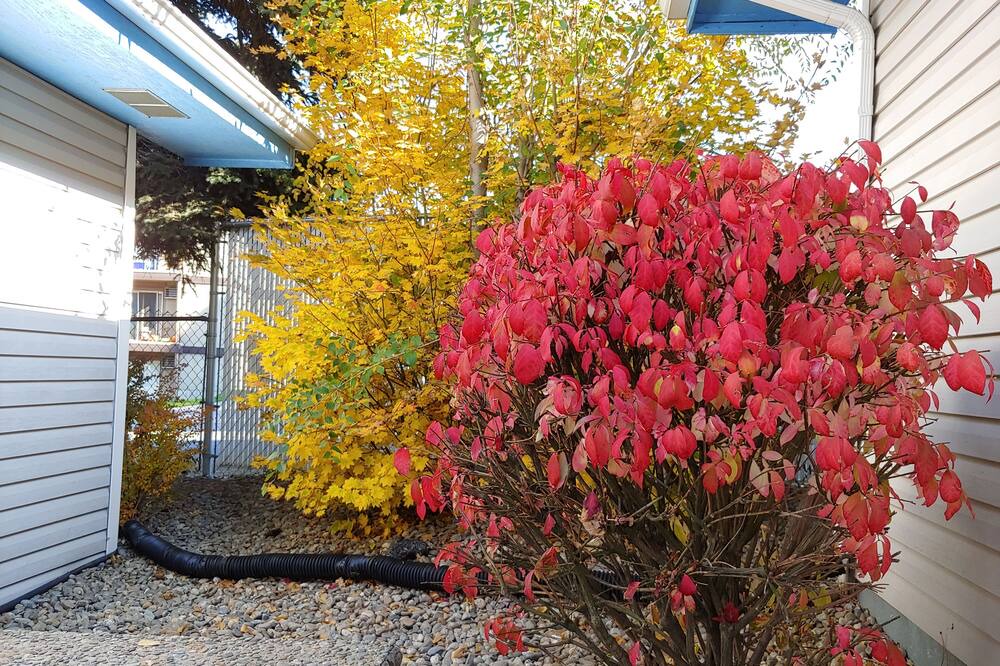 Photo of Outdoor in North Spokane