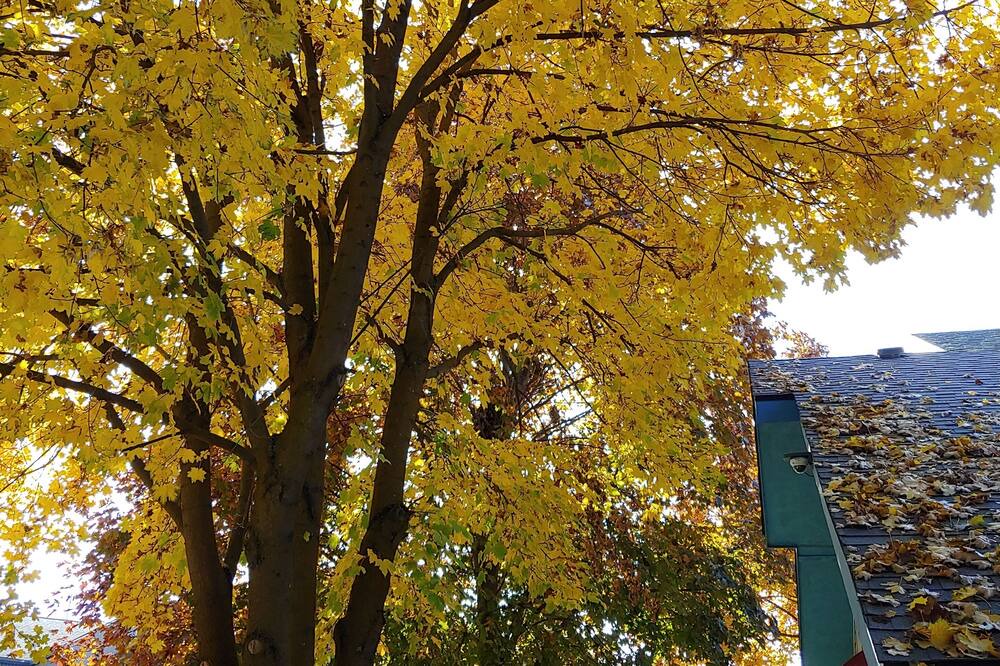 Photo of Outdoor in North Spokane