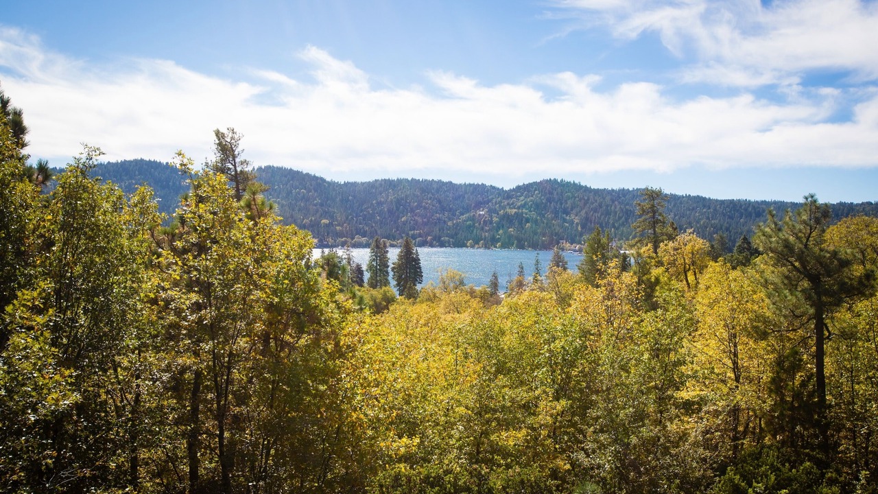 Photo of Others in Lake Arrowhead