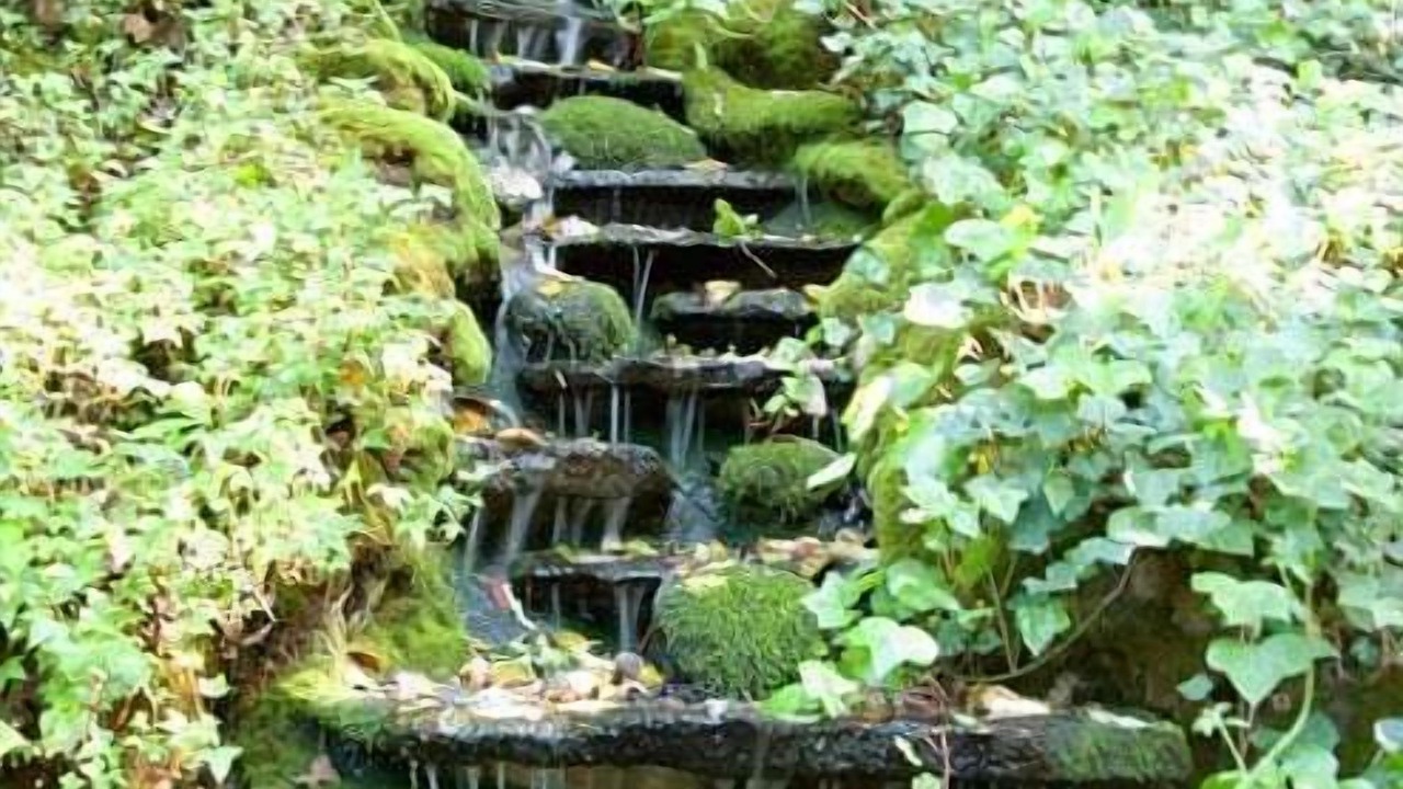 Photo of Outdoor in Calistoga