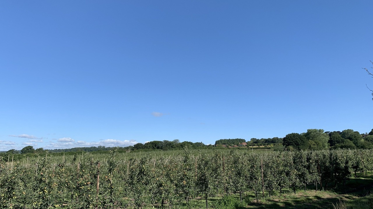 Photo of Bathroom in Sutton Valence