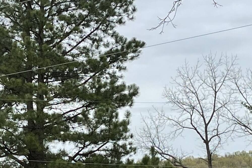 Photo of Others in Mammoth Spring