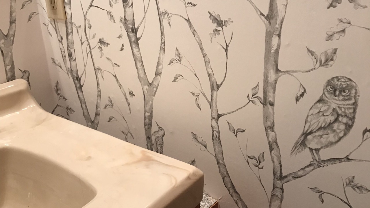 Photo of Others in Otis