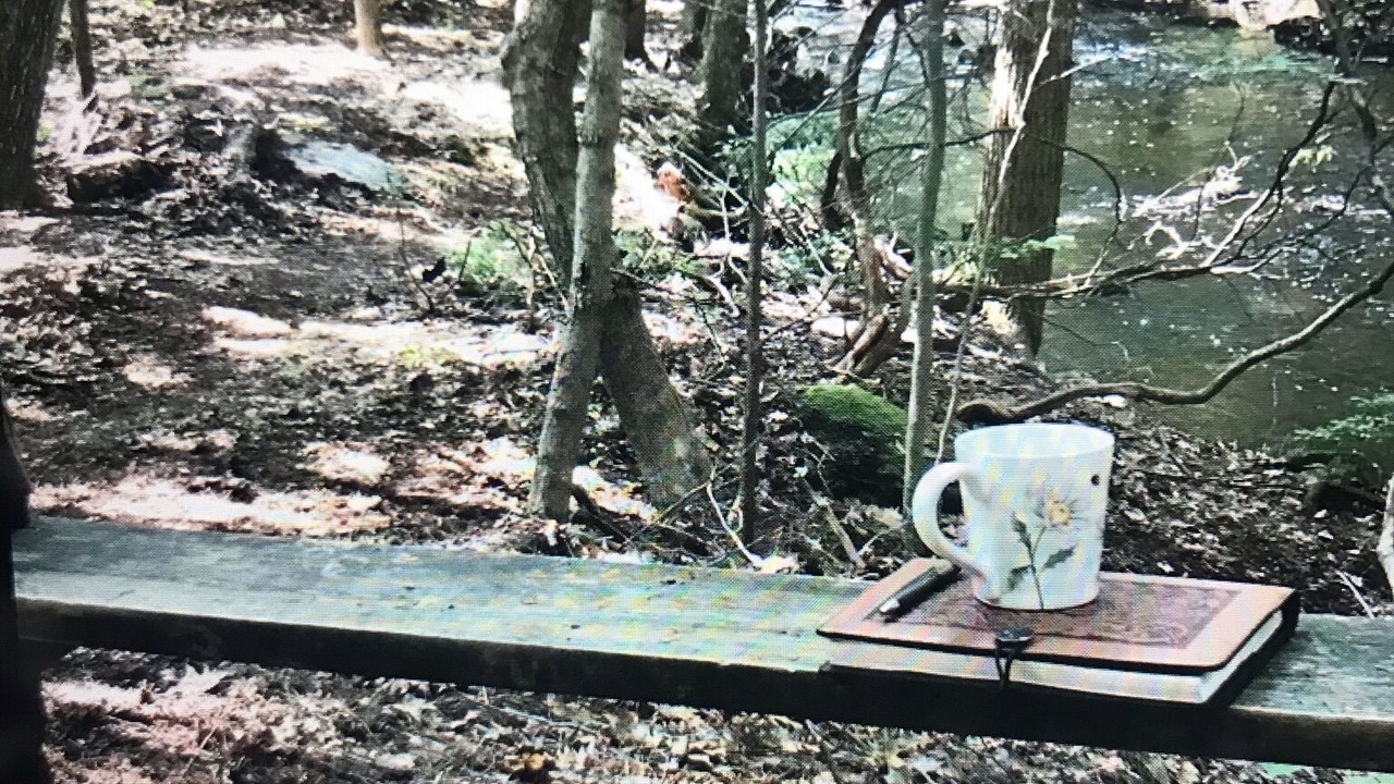 Photo of Outdoor in Otis