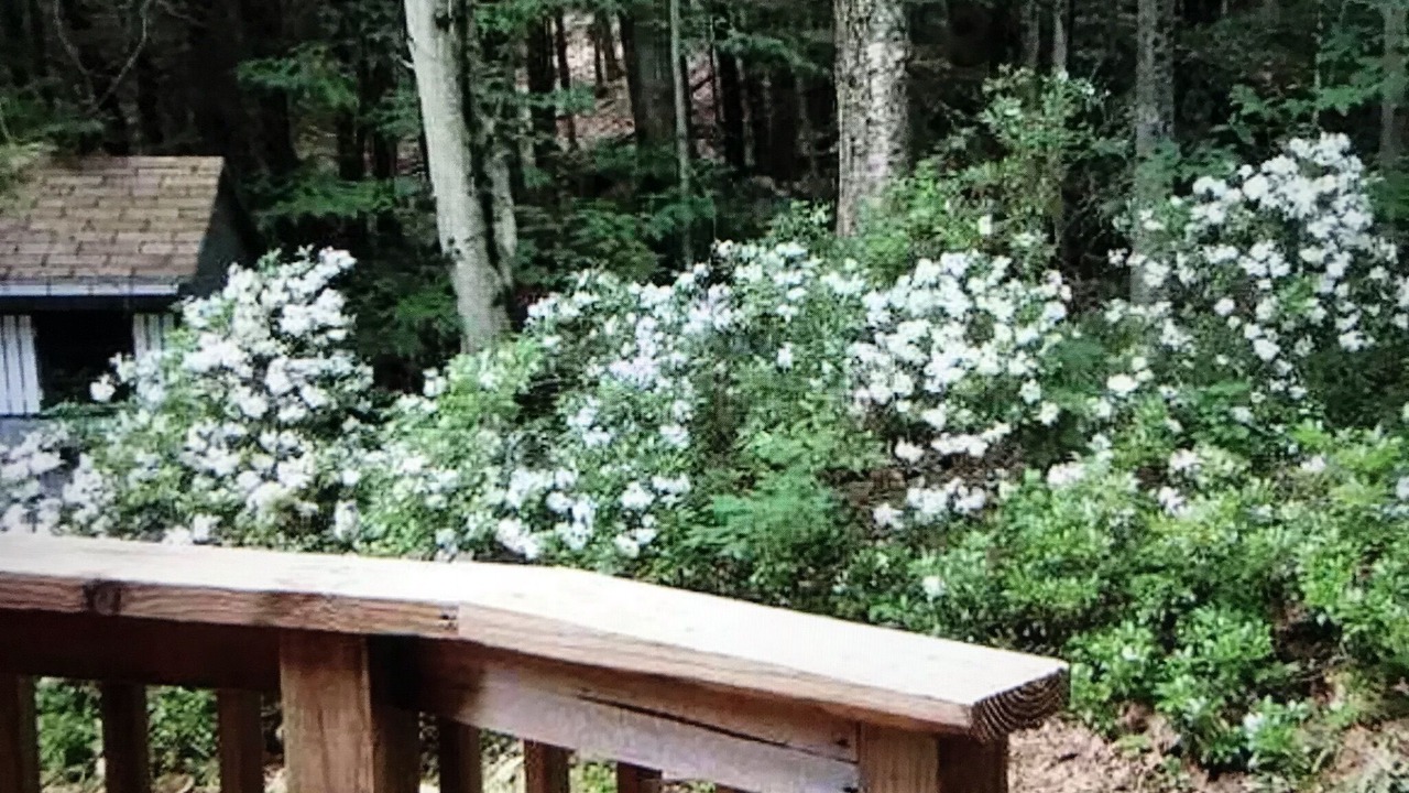 Photo of Outdoor in Otis