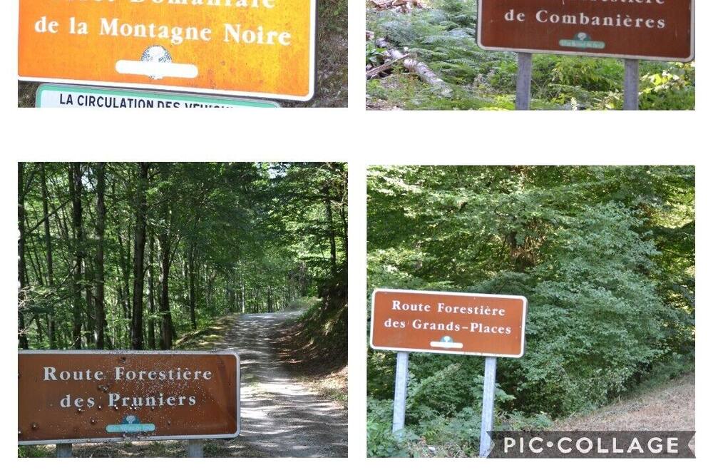 Photo of Outdoor in Escoussens
