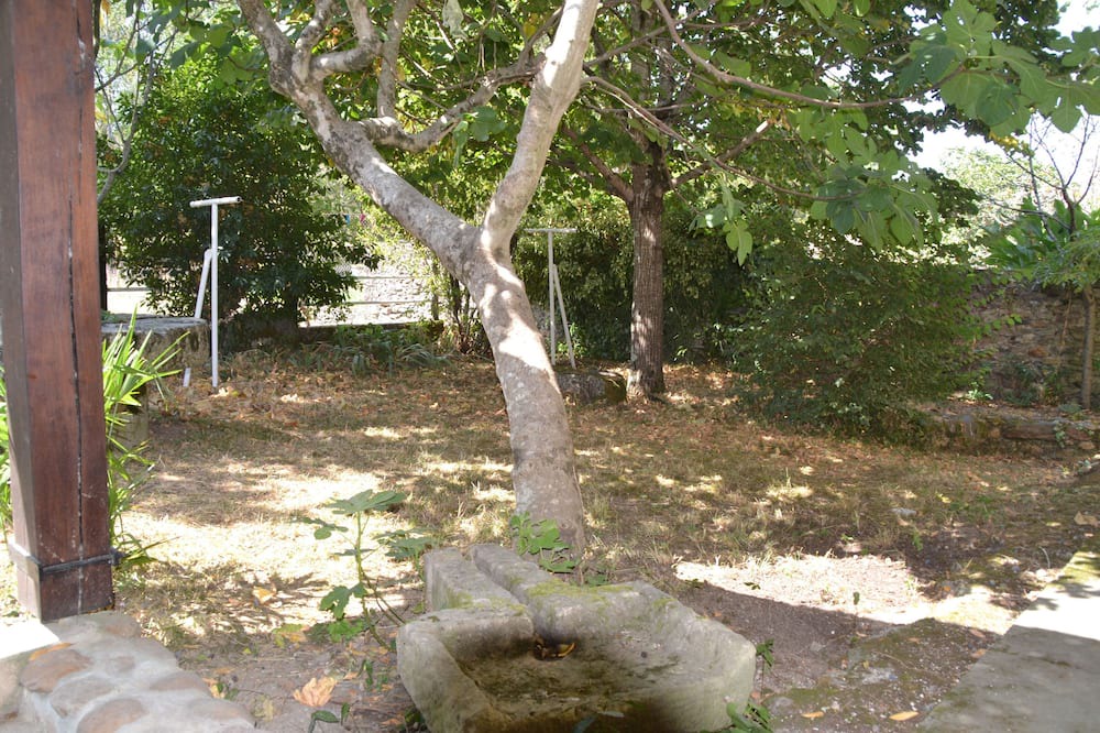 Photo of Outdoor in Escoussens