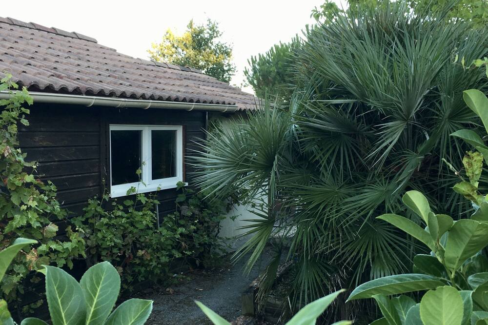 Photo of Outdoor in Saint-Pere-en-Retz