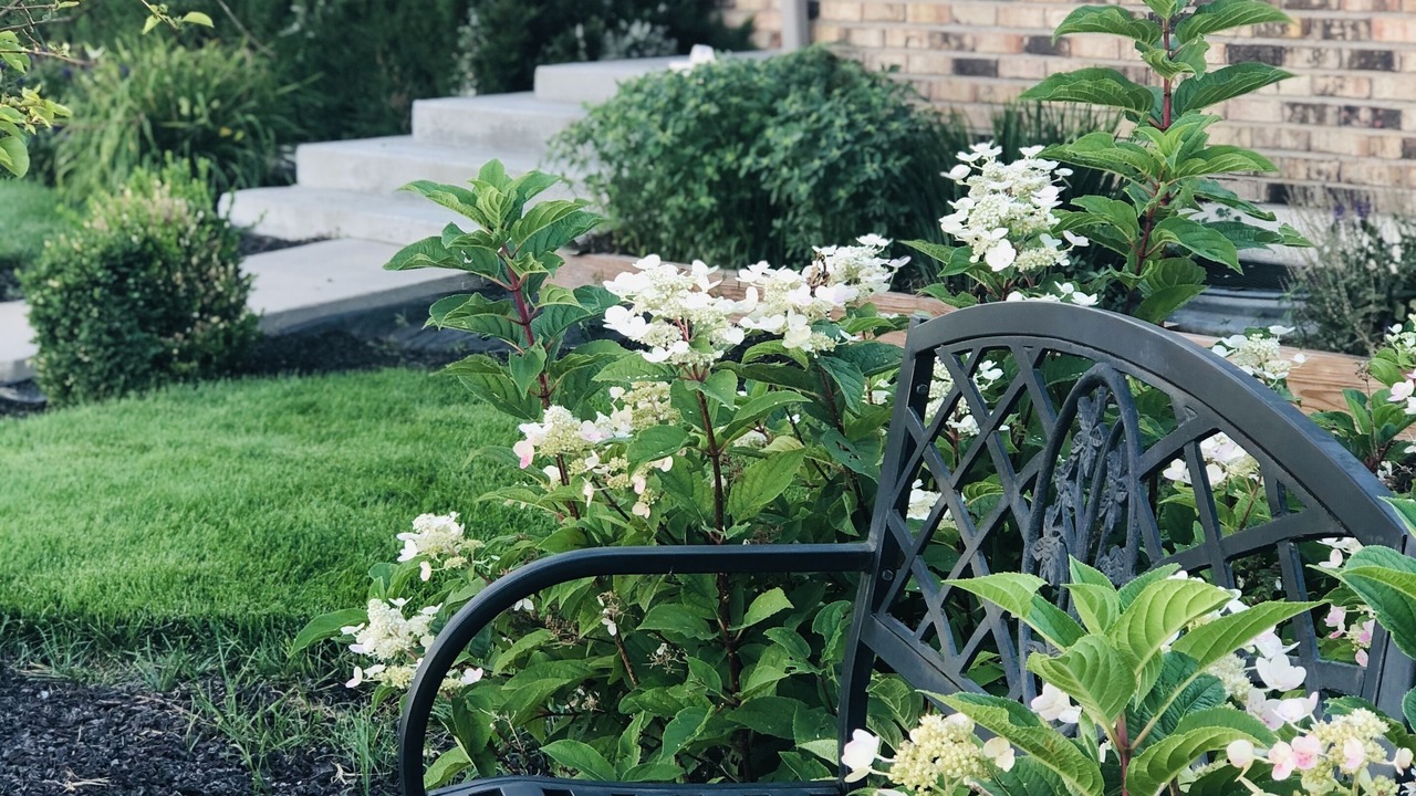 Photo of Outdoor in Cimarron Hills
