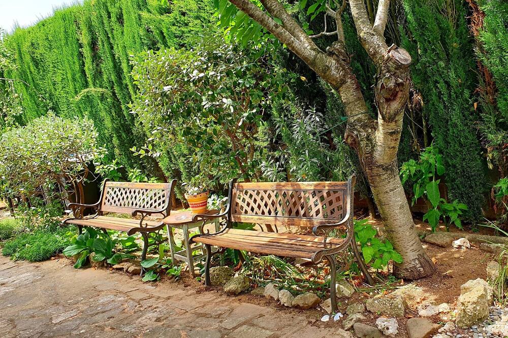 Photo of Outdoor in Cardedeu