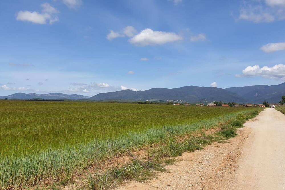 Photo of Others in Cardedeu