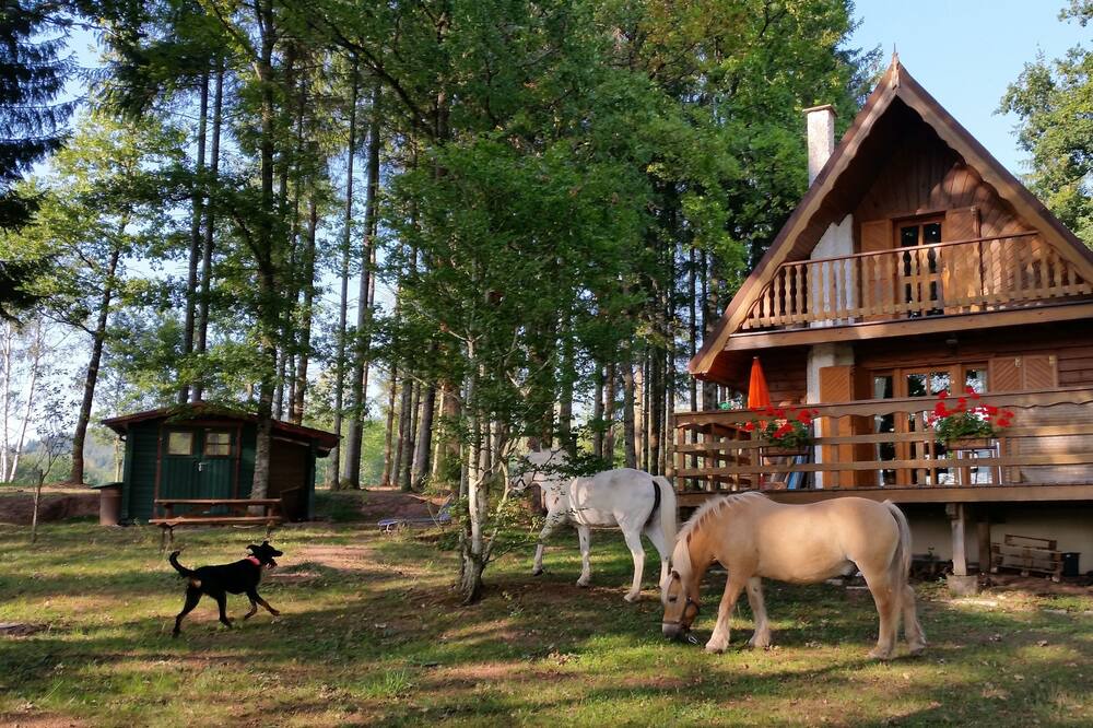 Photo of Outdoor in Colroy-la-Grande