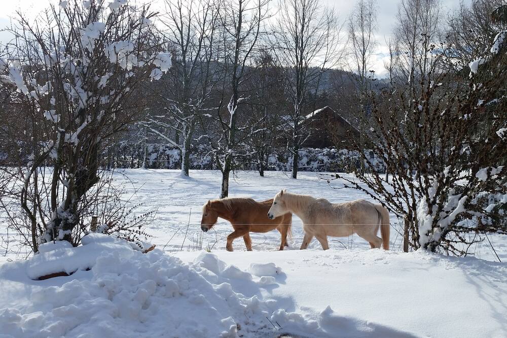 Photo of Others in Colroy-la-Grande