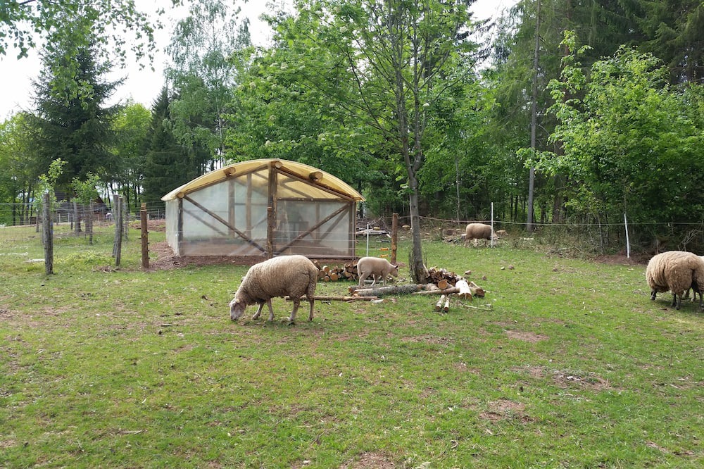 Photo of Outdoor in Colroy-la-Grande