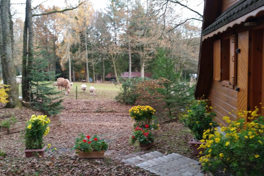 Photo of Outdoor in Colroy-la-Grande