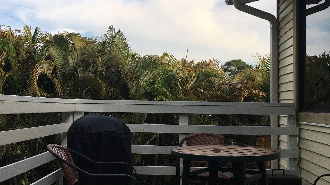Photo of Outdoor in Pine Island Center