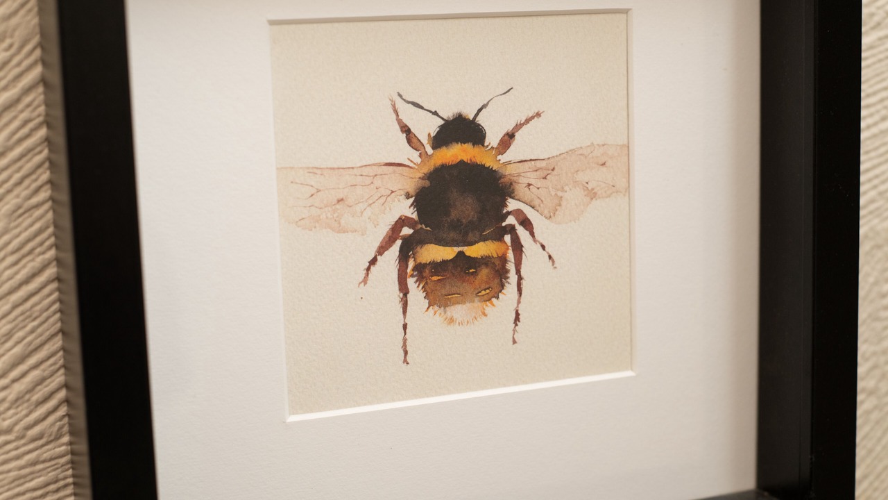 Photo of Others in Cupar