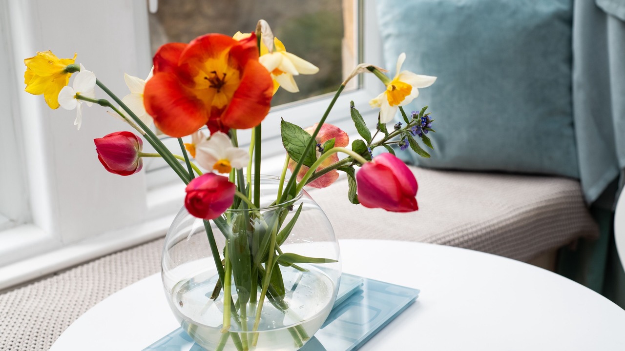Photo of Bedroom in Cupar