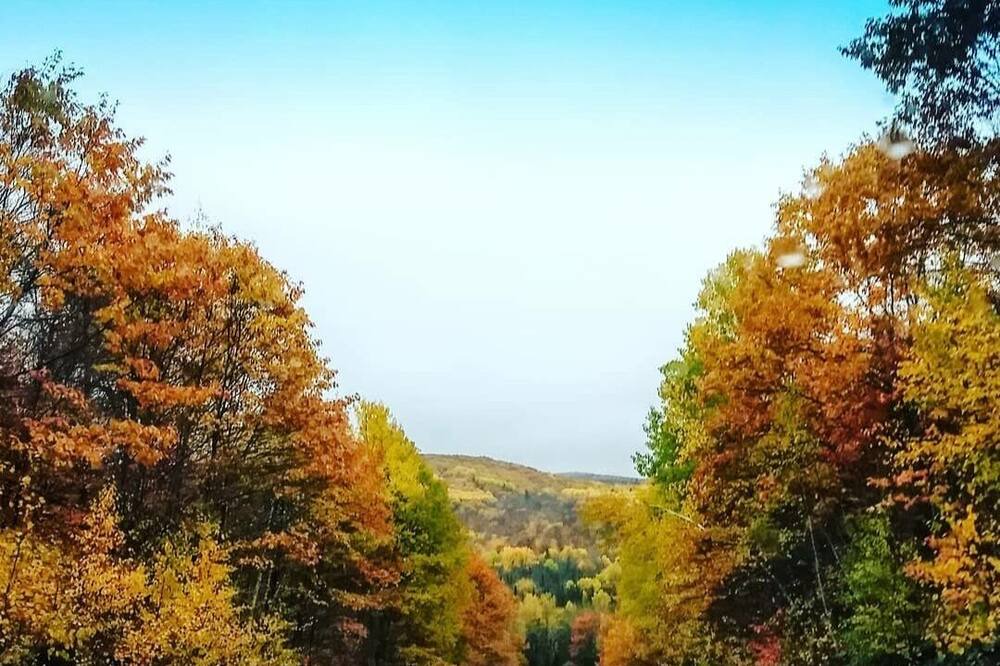 Photo of Outdoor in Purdy