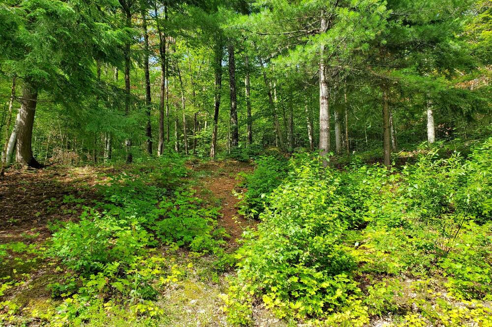 Photo of Outdoor in Purdy