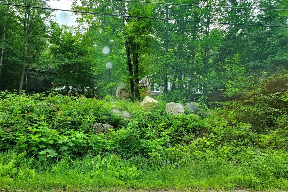 Photo of Outdoor in Purdy