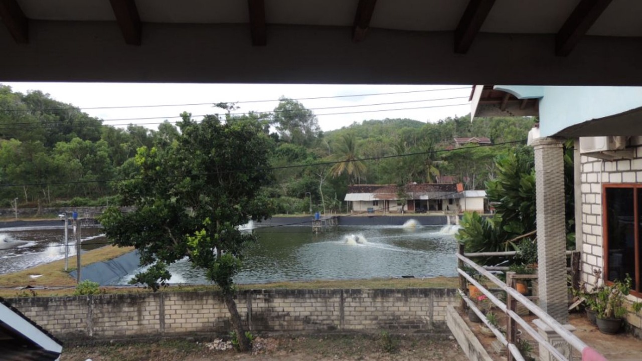 Photo of Outdoor in Wonosari