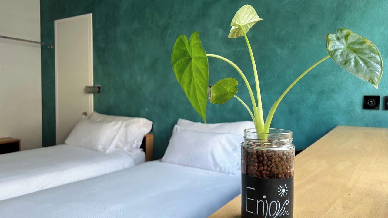 Photo of Bedroom in Minusio