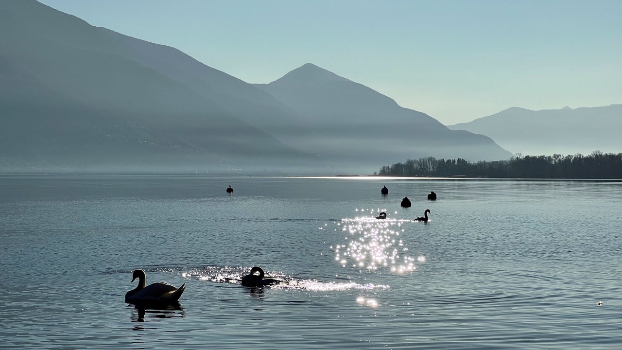 Photo of Bedroom in Minusio