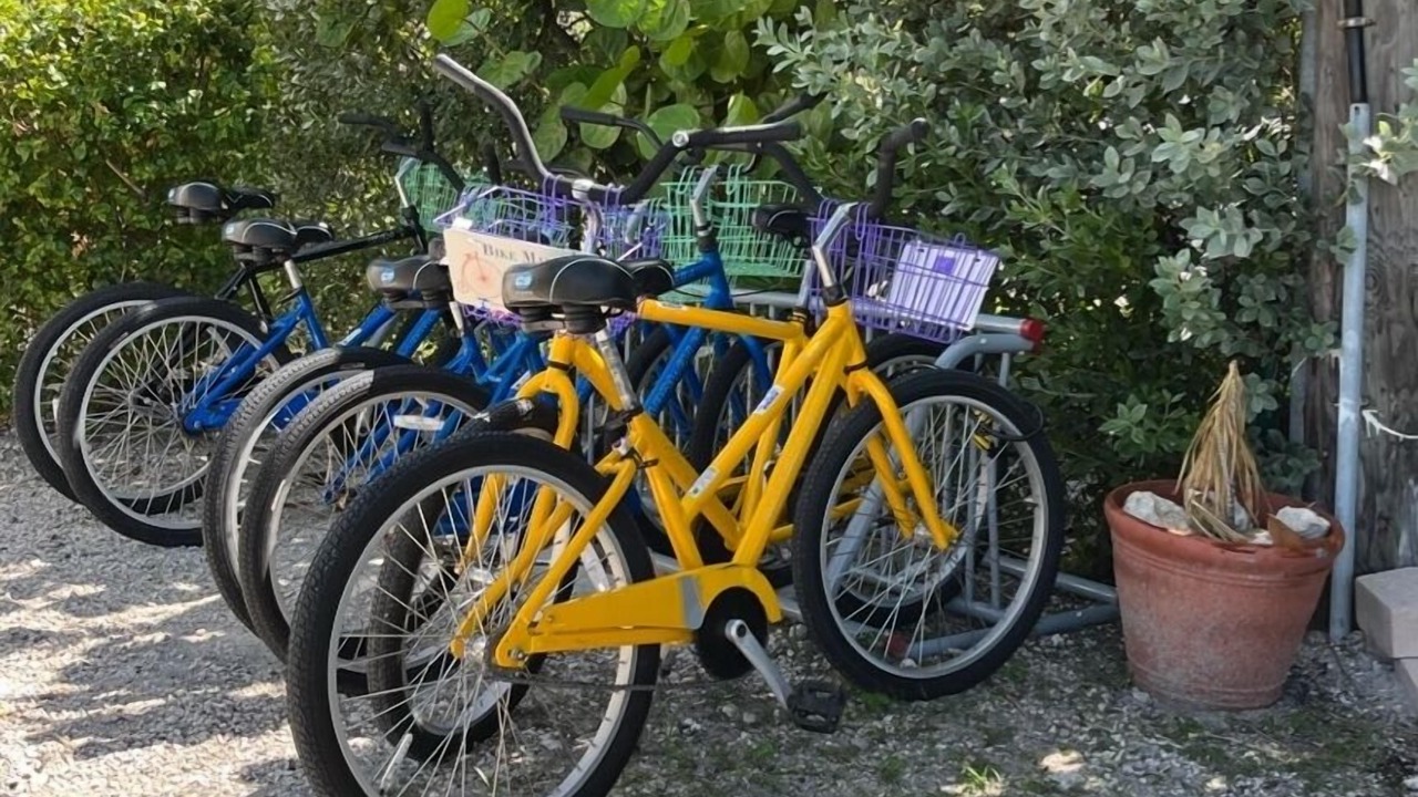 Photo of Outdoor in Key Colony Beach