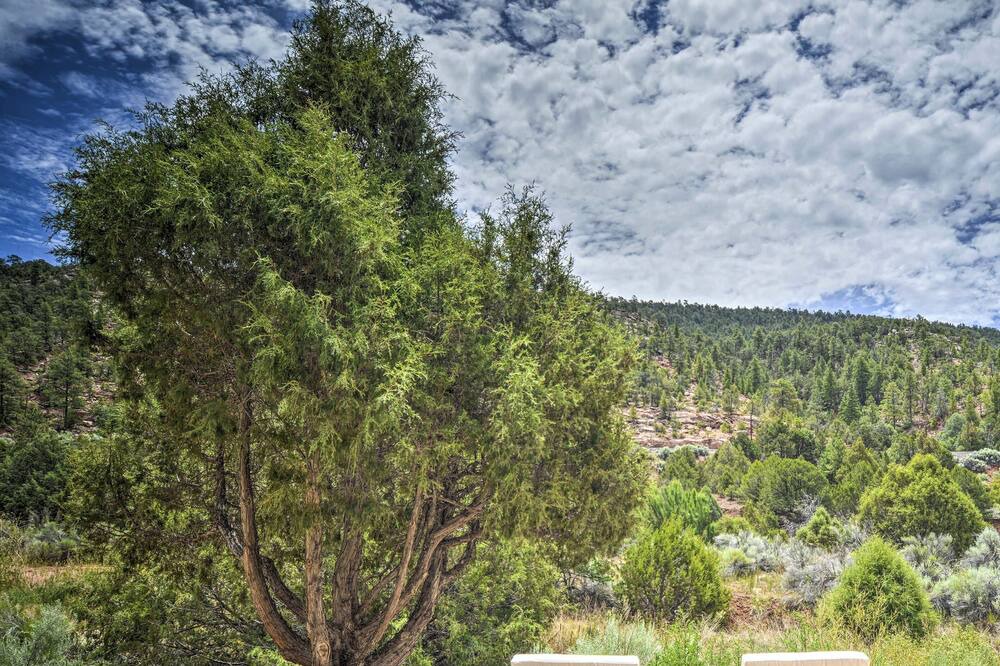 Photo of Outdoor in Canoncito