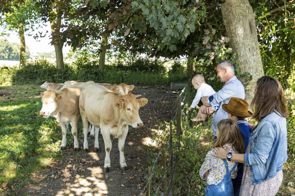 Photo of Others in Walincourt-Selvigny