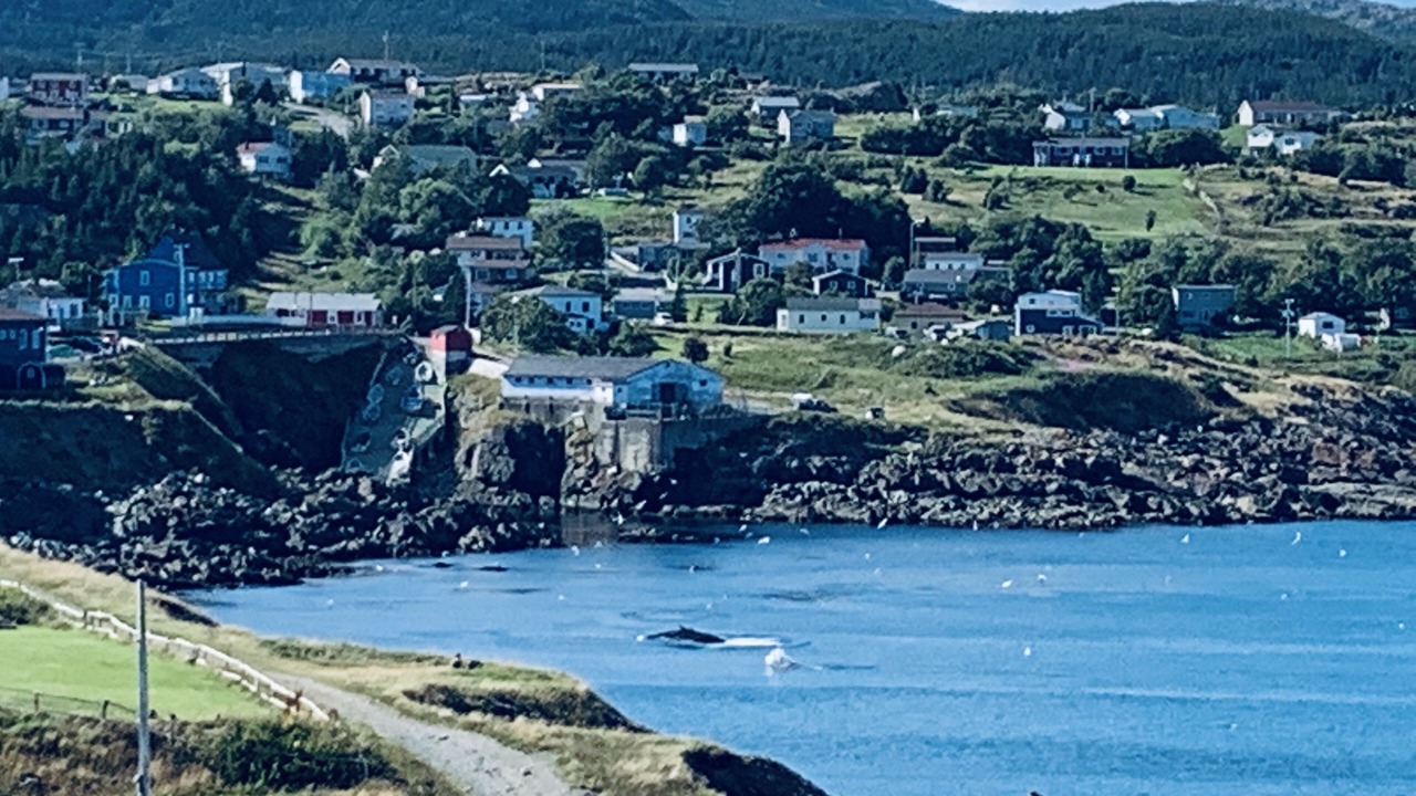 Photo of Outdoor in Pouch Cove