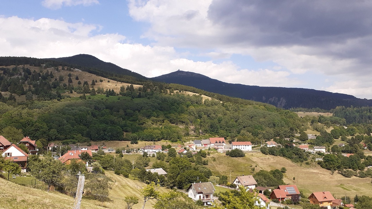 Photo of Others in Geishouse