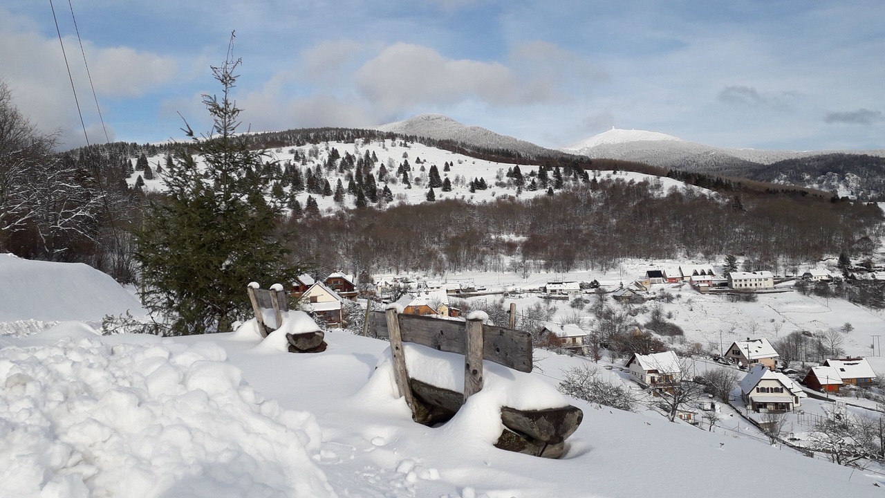 Photo of Outdoor in Geishouse